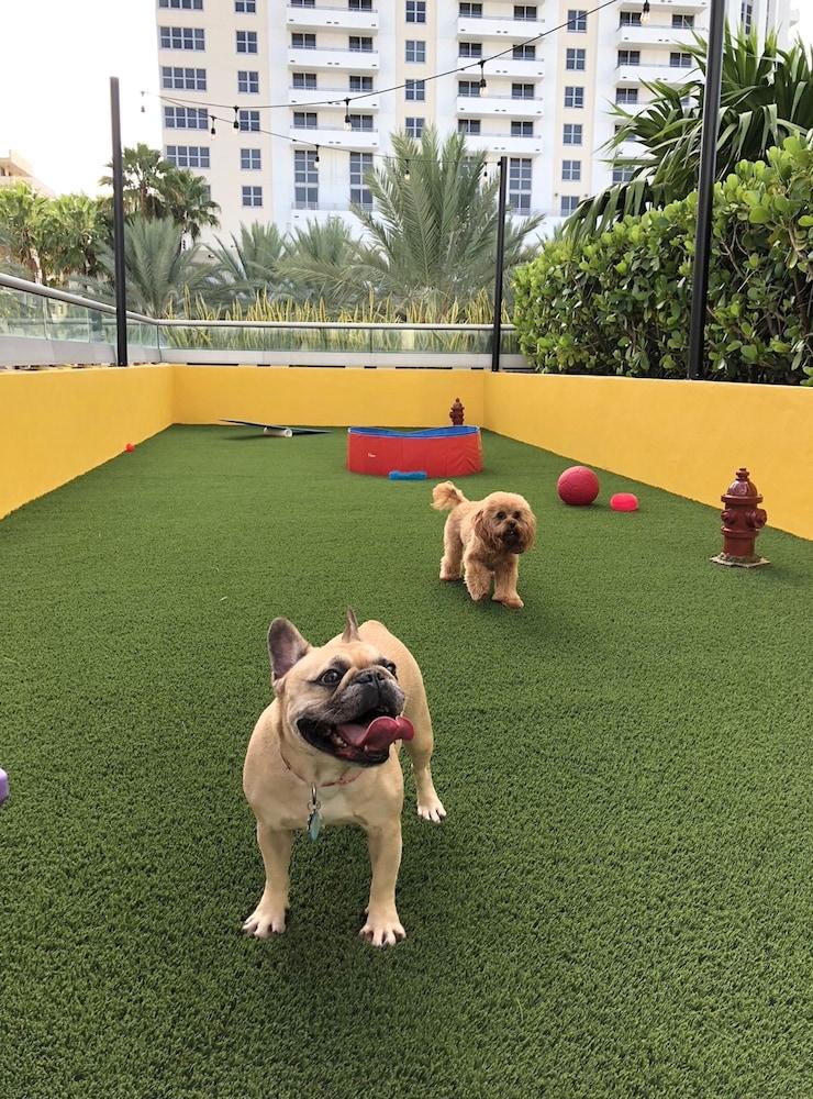 Hyatt Centric South Beach Miami Маямі-Біч Екстер'єр фото